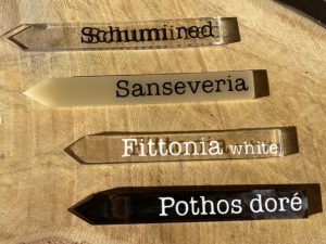 Marqueur pour plante, en résine époxy. Nom de la plante écrit en noir ou en blanc selon la couleur de fond choisie. Veuillez noter que les marqueurs sont fait à la commande, merci de prendre en compte le temps de séchage de la résine. Les caprices d'andromède